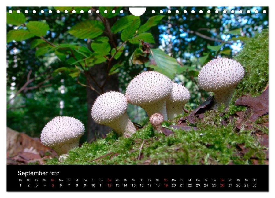 InsideView 14