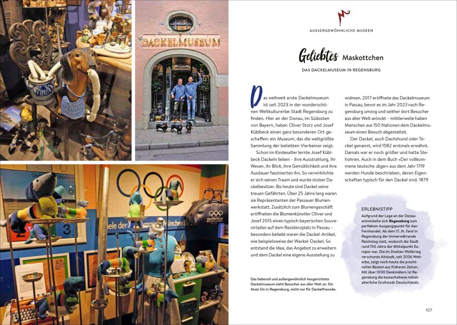 InsideView 5