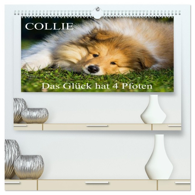 Collie - Das Glück hat 4 Pfoten (hochwertiger Premium Wandkalender 2026 DIN A2 quer), Kunstdruck in Hochglanz - Sigrid Starick