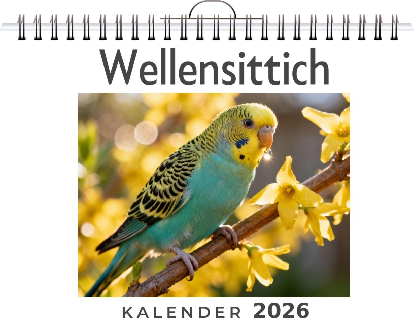 Wellensittich - Felix Zimmermann