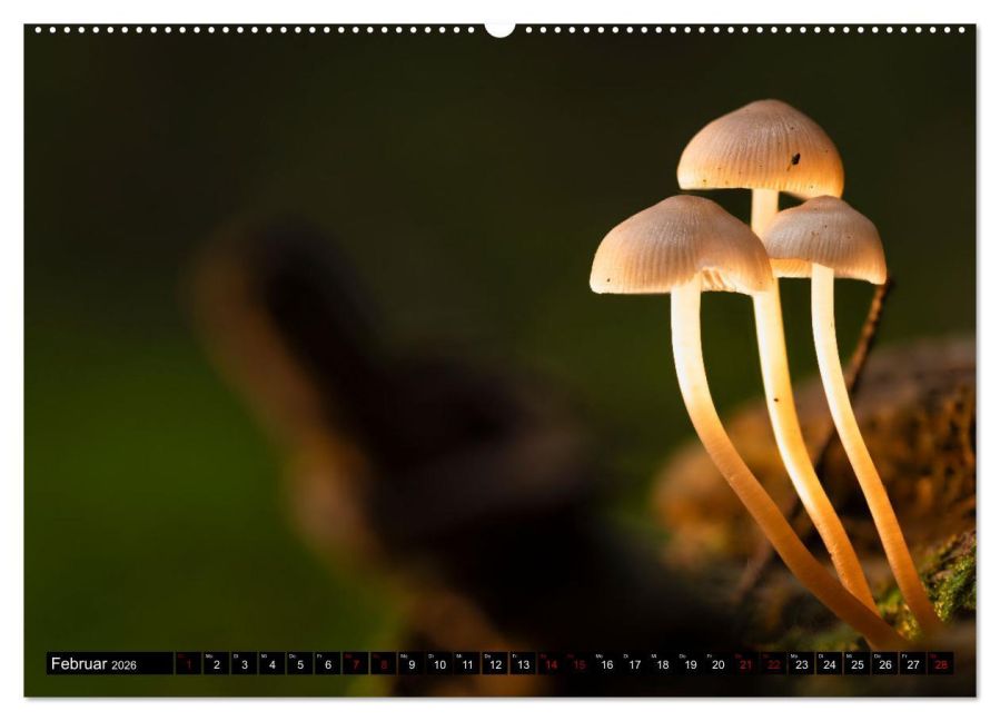 InsideView 7