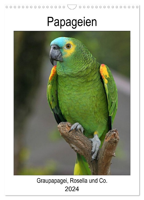 Papageien - Graupapagei, Rosella und Co. (Wandkalender 2024 DIN A3 hoch), CALVENDO Monatskalender - Antje Lindert-Rottke