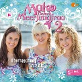 Cover-Bild zum Titel 'Folge 14: Überraschung in Pink (Das Original-Hörspiel zur TV-Serie)' von 'Thomas Karallus'