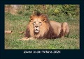 Löwen in der Wildnis 2024 Fotokalender DIN A5 - Tobias Becker