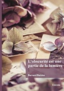 Cover-Bild zum Titel 'L'obscurité est une partie de la lumière' von 'Bernard Buisine'