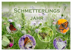 Schmetterlingsjahr (Wandkalender 2026 DIN A2 quer), CALVENDO Monatskalender - Christine B-B Müller