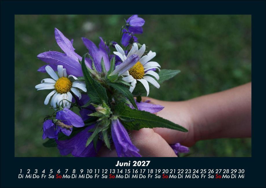 InsideView 10