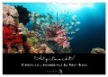 Abgetaucht! Entdecke die Unterwasserwelt des Roten Meeres (Wandkalender 2024 DIN A3 quer), CALVENDO Monatskalender - Susann und Felix Roßbach