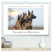 Cover-Bild zum Titel 'Traumhund Malinois (hochwertiger Premium Wandkalender 2026 DIN A2 quer), Kunstdruck in Hochglanz' von 'Martina Wrede - Wredefotografie'