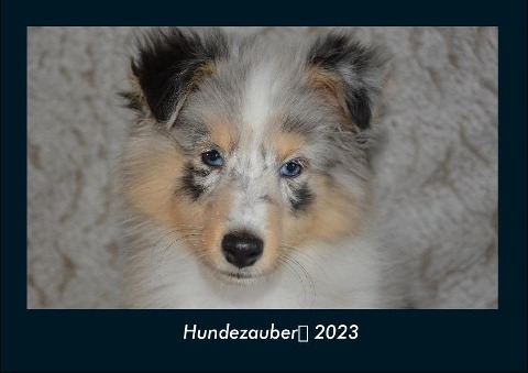 Hundezauber 2023 Fotokalender DIN A4 - Tobias Becker