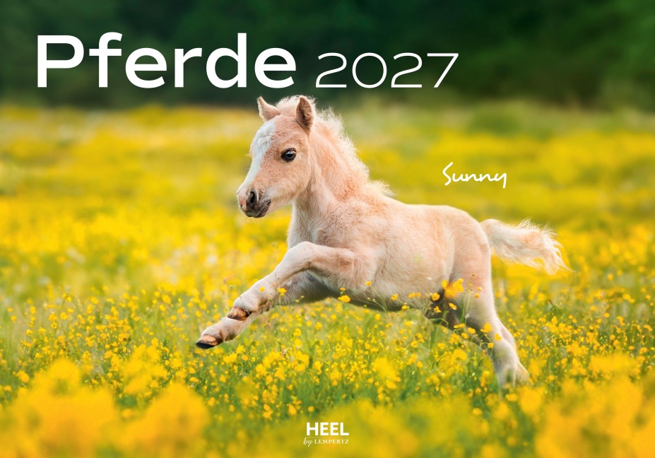Pferde Kalender 2027 Wandkalender - Edyta Trojaska-Koch