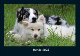 Cover-Bild zum Titel 'Hunde 2025 Fotokalender DIN A4' von 'Tobias Becker'