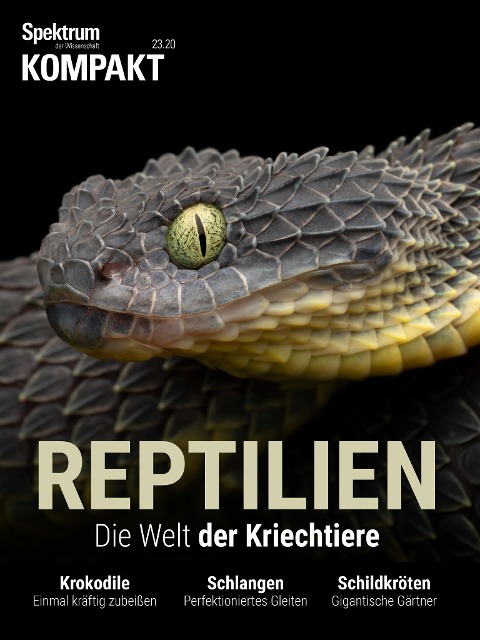Spektrum Kompakt - Reptilien - 