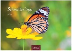 Cover-Bild zum Titel 'Schmetterlinge Kalender 2026 - Wandkalender | Fotokalender Tierkalender 24x35cm - Mit wunderschönen, detailreichen Bildern von Schmetterlingen.' von ''