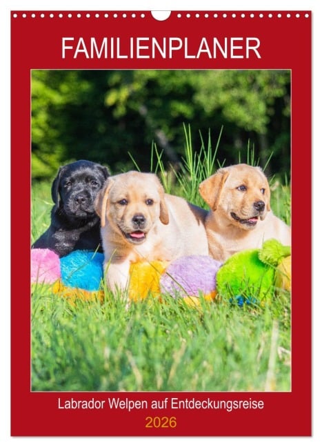 Familienplaner - Labrador Welpen entdecken die Welt (Wandkalender 2026 DIN A3 hoch), CALVENDO Monatskalender - Sigrid Starick