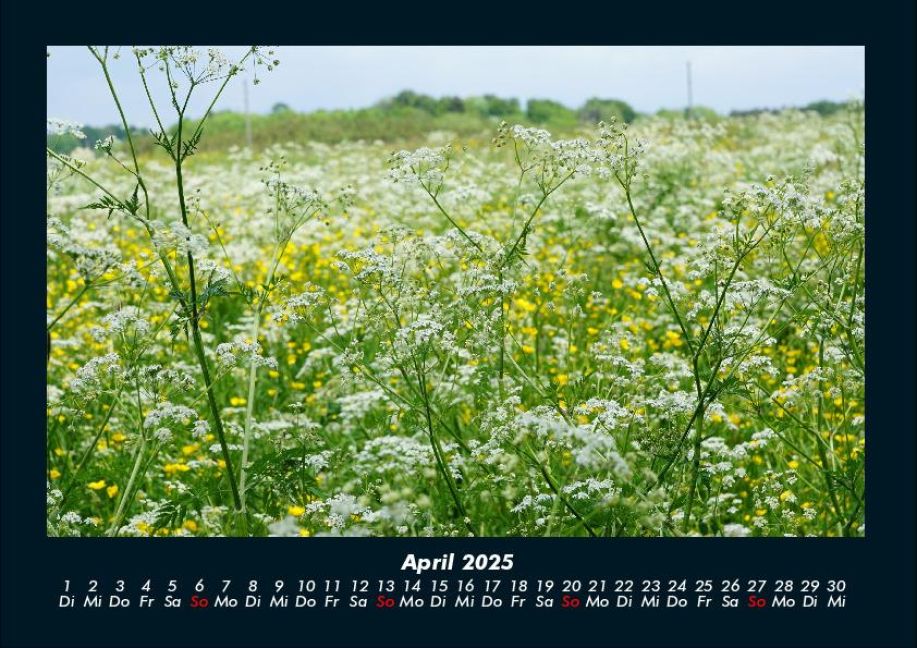 InsideView 8
