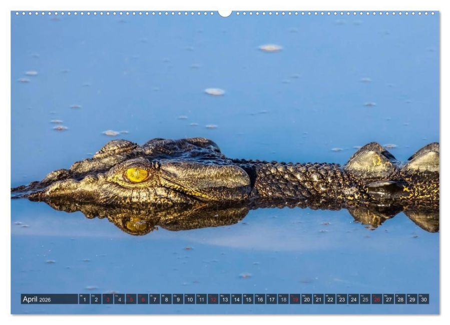 InsideView 9