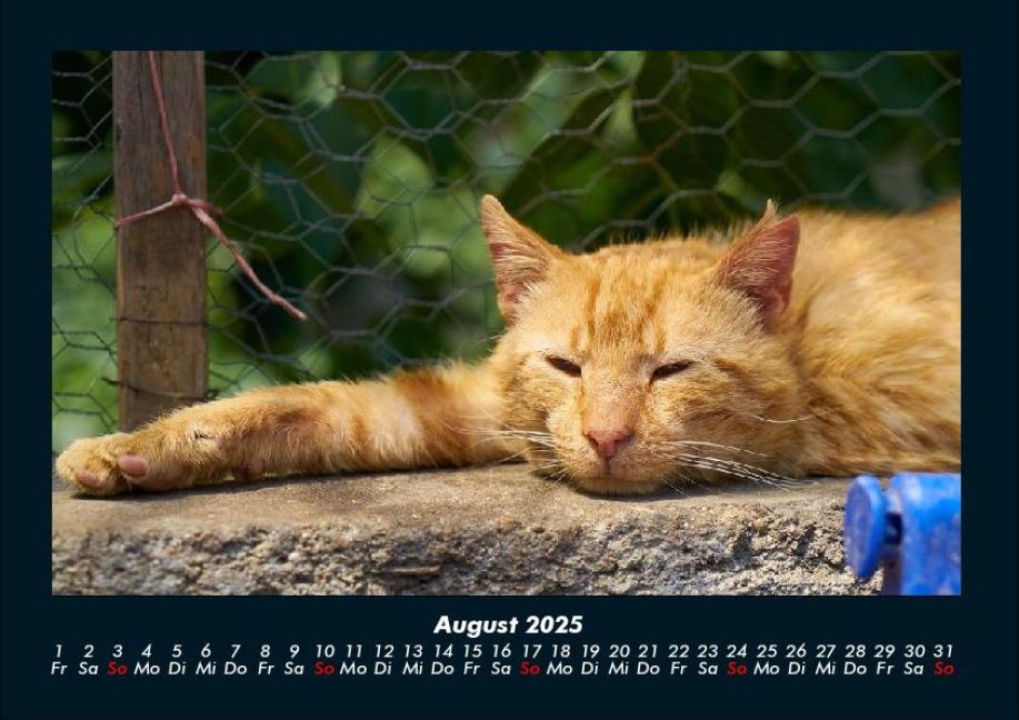 InsideView 12