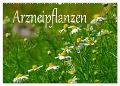 Arzneipflanzen (Wandkalender 2024 DIN A2 quer), CALVENDO Monatskalender - LianeM LianeM