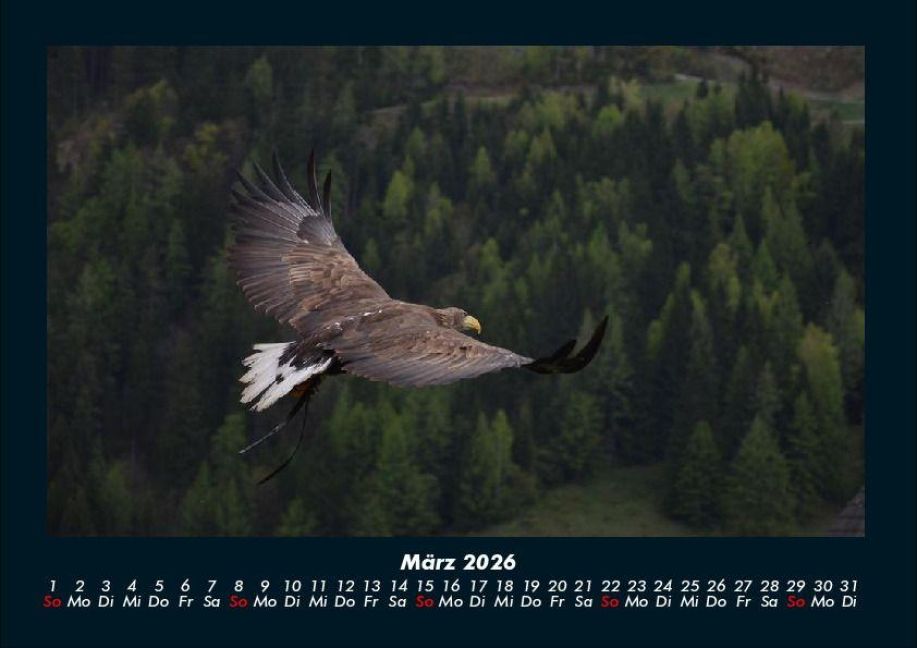 InsideView 7