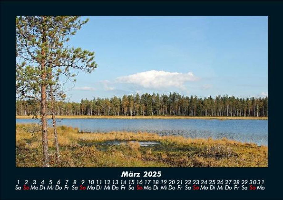 InsideView 7