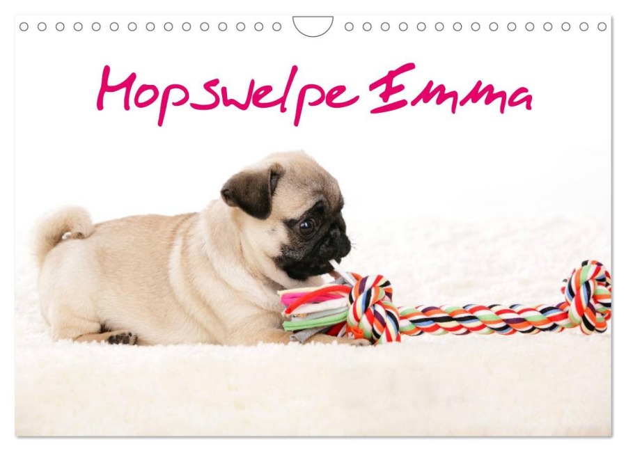 Mopswelpe Emma (Wandkalender 2026 DIN A4 quer), CALVENDO Monatskalender - Sophie Tiller
