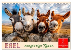Cover-Bild zum Titel 'Esel - neugierige Typen (Tischkalender 2026 DIN A5 quer), CALVENDO Monatskalender' von 'Peter Roder'