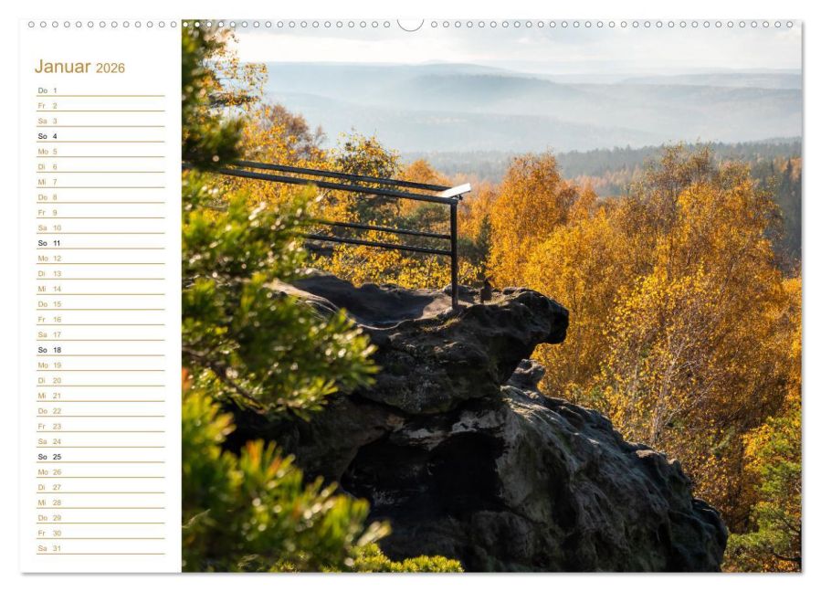 InsideView 6