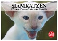 Siamkatzen - Kleiner Frechdachs mit Familie (Wandkalender 2024 DIN A3 quer), CALVENDO Monatskalender - Elisabeth Stanzer