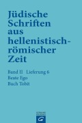 Cover-Bild zum Titel 'Buch Tobit' von 'Beate Ego'