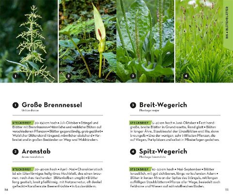 InsideView 5