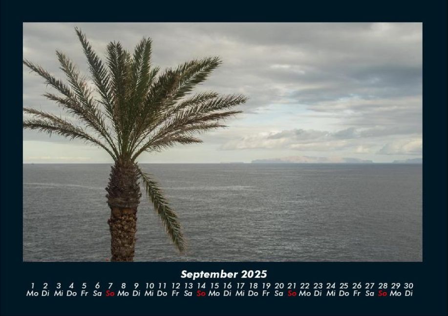 InsideView 1