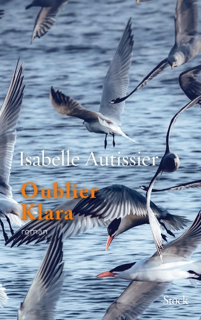 Oublier Klara - Isabelle Autissier