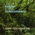 Cover-Bild zum Titel 'Now You Hear Me' von 'Robyn Schulkowsky & Joey Baron'