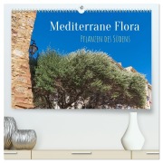 Cover-Bild zum Titel 'Mediterrane Flora - Pflanzen des Südens (hochwertiger Premium Wandkalender 2026 DIN A2 quer), Kunstdruck in Hochglanz' von 'Elisabeth Schittenhelm'