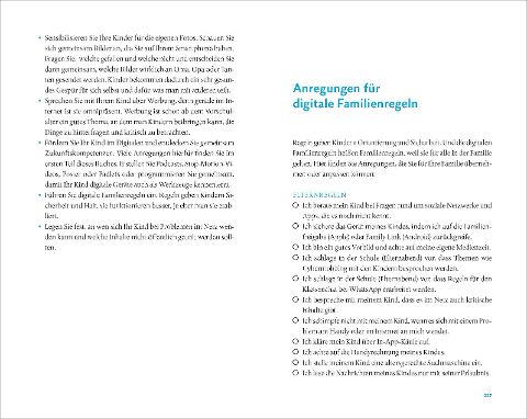 InsideView 6