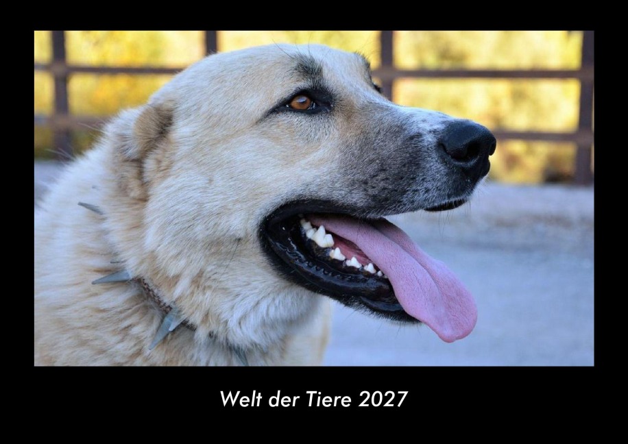 Welt der Tiere 2027 Fotokalender DIN A3 - Tobias Becker