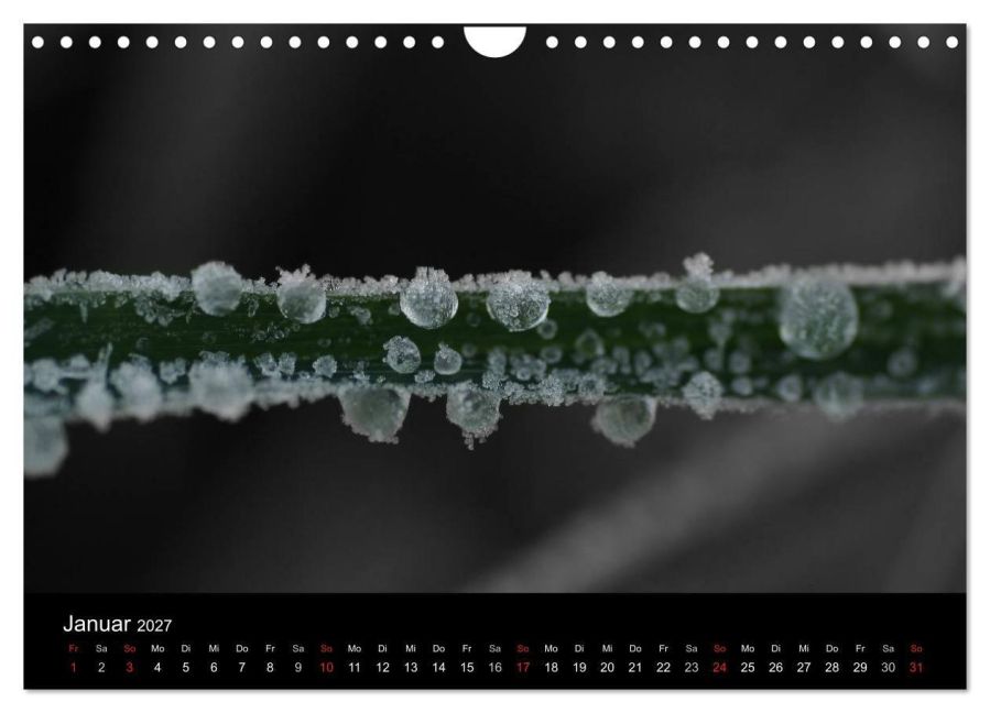 InsideView 6