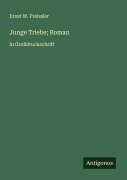 Cover-Bild zum Titel 'Junge Triebe; Roman' von 'Ernst W. Freissler'