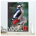 Vögel - gefiederte Freunde in unserer Natur (hochwertiger Premium Wandkalender 2025 DIN A2 hoch), Kunstdruck in Hochglanz - Peter Roder