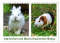 Kaninchen und Meerschweinchen Babys (Tischkalender 2024 DIN A5 quer), CALVENDO Monatskalender - Kattobello Kattobello