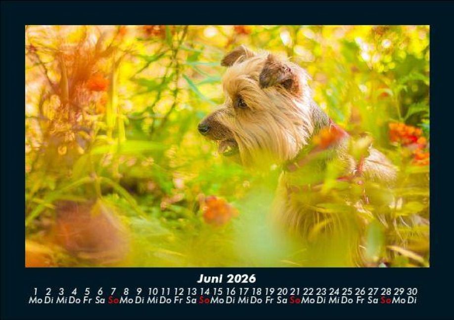 InsideView 10