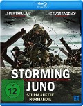 Cover-Bild zum Titel 'Storming Juno' von 'Christopher Gagosz, James Mark Stewart'