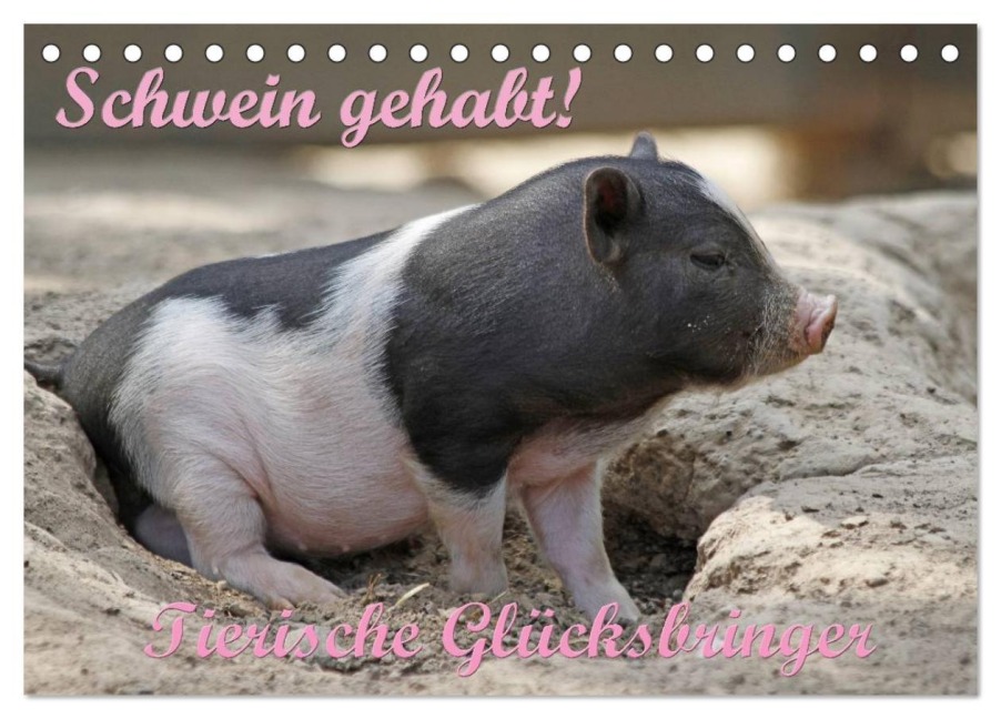Schwein gehabt! (Tischkalender 2026 DIN A5 quer), CALVENDO Monatskalender - Antje Lindert-Rottke