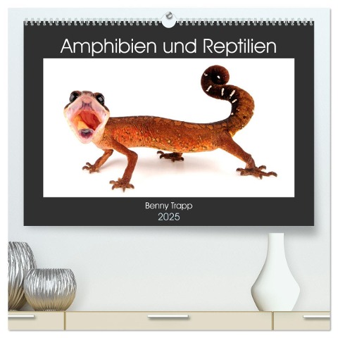 Amphibien und Reptilien (hochwertiger Premium Wandkalender 2025 DIN A2 quer), Kunstdruck in Hochglanz - Benny Trapp