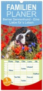 Cover-Bild zum Titel 'Familienplaner 2027 - Berner Sennenhund - Eine Liebe für¿s Leben mit 5 Spalten (Wandkalender, 21 x 45 cm) CALVENDO' von 'Sigrid Starick'