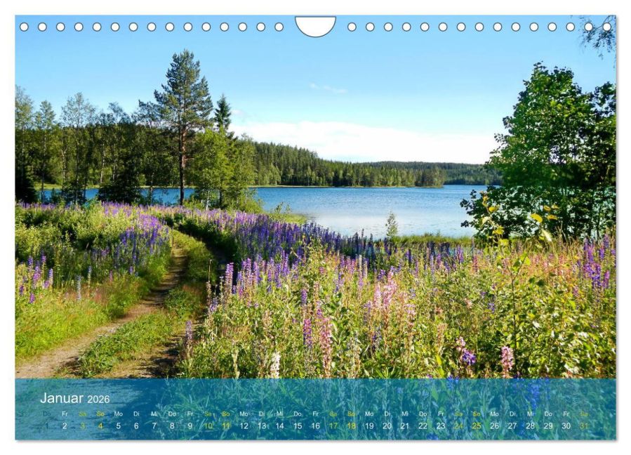 InsideView 6