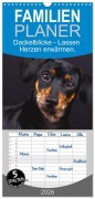 Cover-Bild zum Titel 'Familienplaner 2026 - Dackelblicke - Lassen Herzen erwärmen. mit 5 Spalten (Wandkalender, 21 x 45 cm) CALVENDO' von 'Sf Sf'