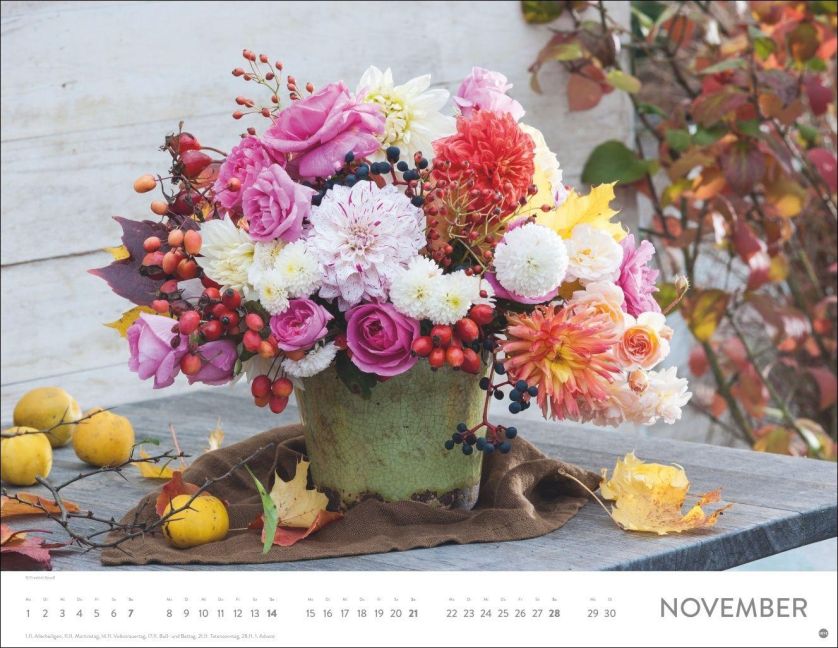 InsideView 11