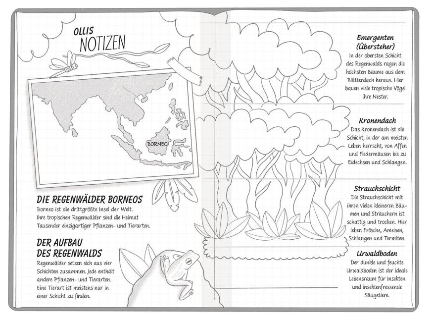 InsideView 7